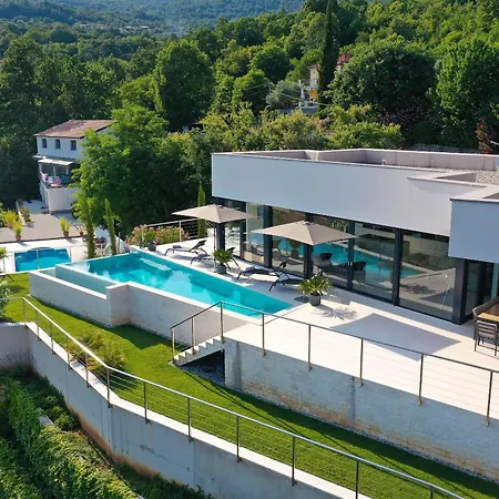 Agapanthus * Veprinac