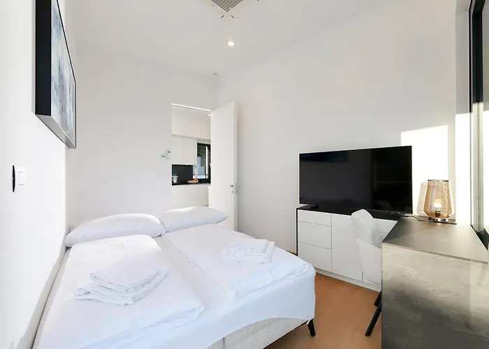 Agapanthus * Veprinac