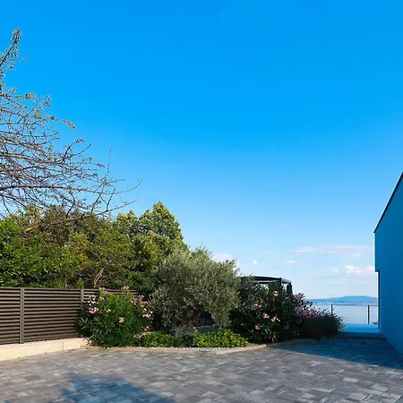 Agapanthus * Veprinac