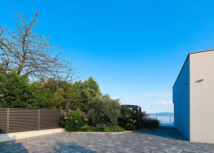 Agapanthus * Veprinac